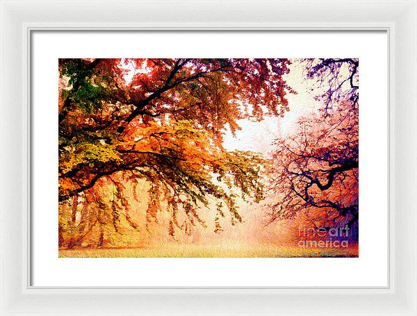 Framed Print - Promise Of A Brighter Future