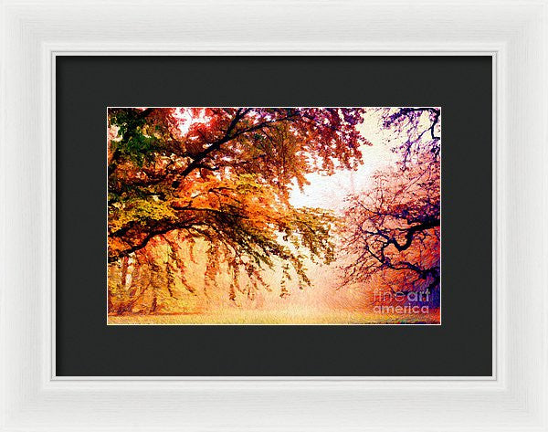 Framed Print - Promise Of A Brighter Future