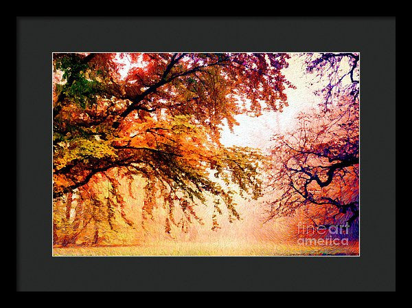 Framed Print - Promise Of A Brighter Future