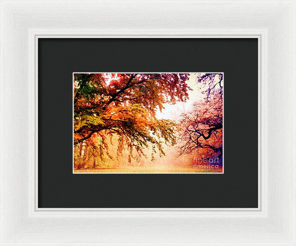 Framed Print - Promise Of A Brighter Future