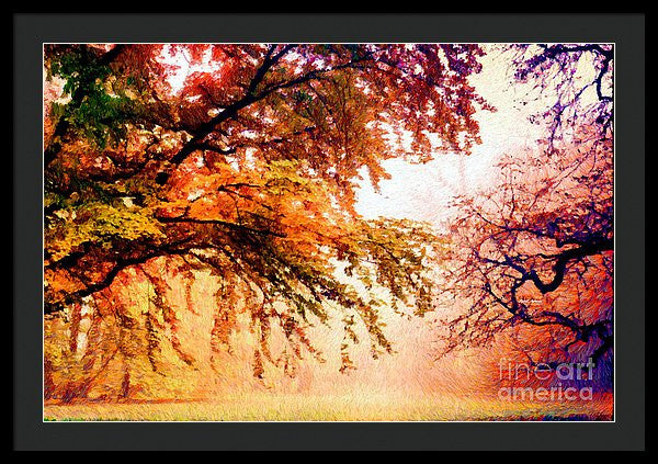 Framed Print - Promise Of A Brighter Future