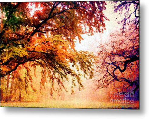 Metal Print - Promise Of A Brighter Future