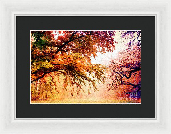 Framed Print - Promise Of A Brighter Future