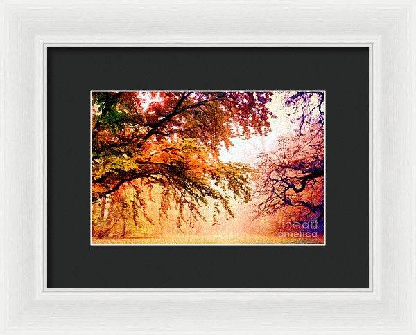 Framed Print - Promise Of A Brighter Future