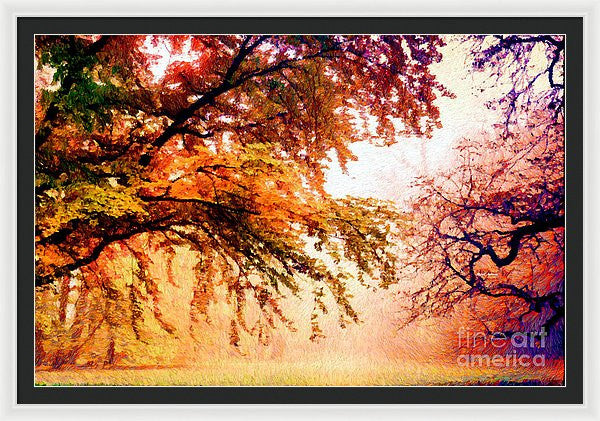 Framed Print - Promise Of A Brighter Future