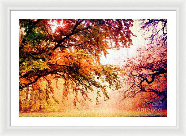 Framed Print - Promise Of A Brighter Future