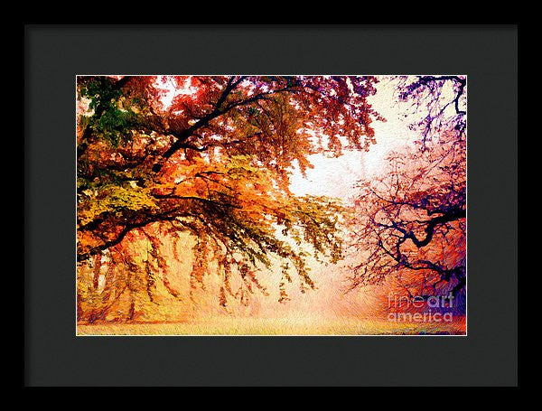 Framed Print - Promise Of A Brighter Future