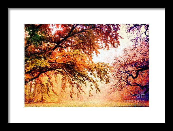 Framed Print - Promise Of A Brighter Future