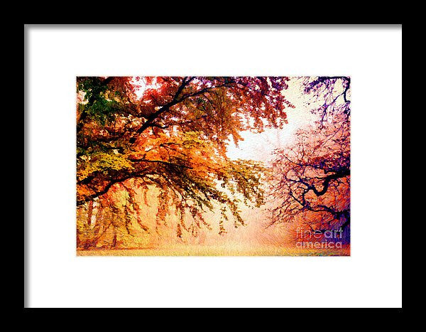 Framed Print - Promise Of A Brighter Future