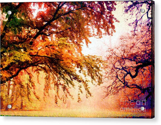 Acrylic Print - Promise Of A Brighter Future