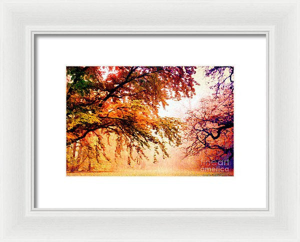 Framed Print - Promise Of A Brighter Future