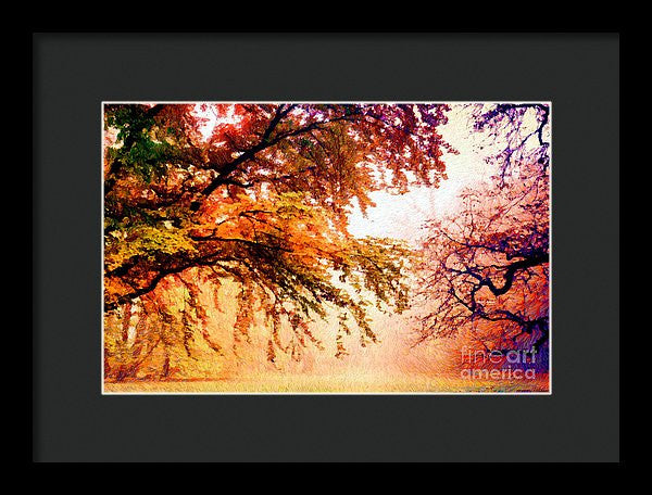 Framed Print - Promise Of A Brighter Future