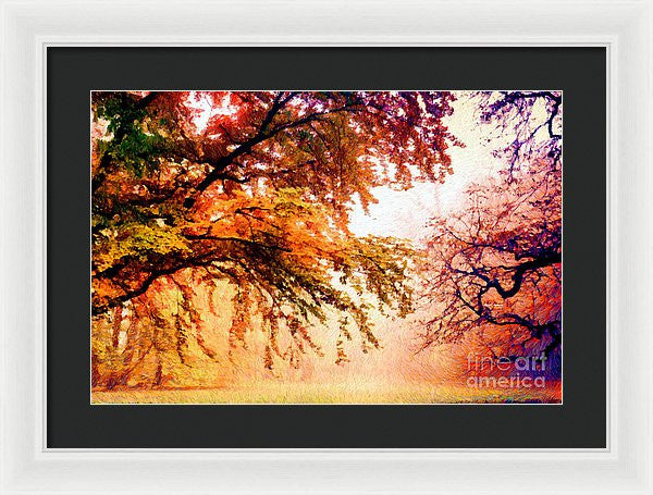 Framed Print - Promise Of A Brighter Future