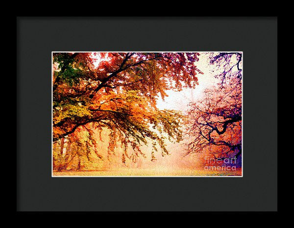 Framed Print - Promise Of A Brighter Future