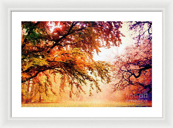 Framed Print - Promise Of A Brighter Future