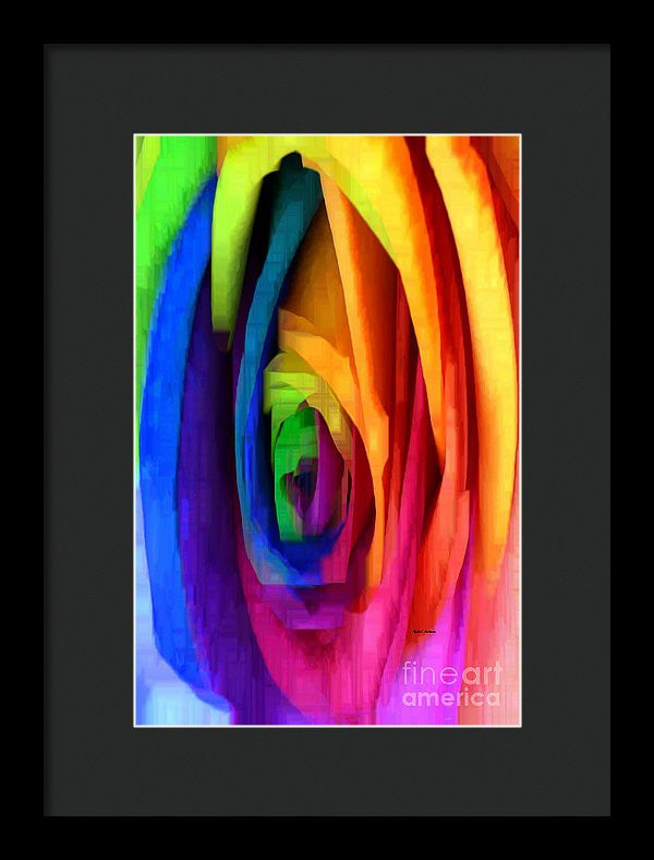 Framed Print - Rainbow Rose