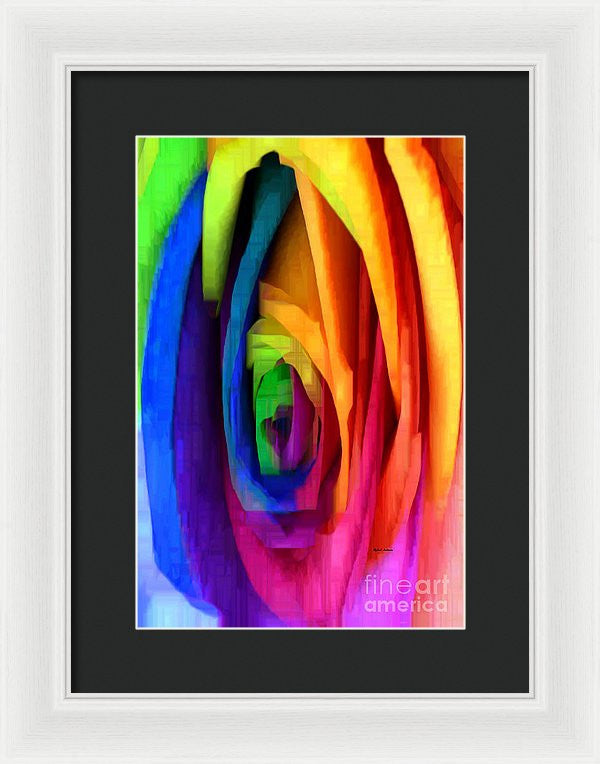 Framed Print - Rainbow Rose