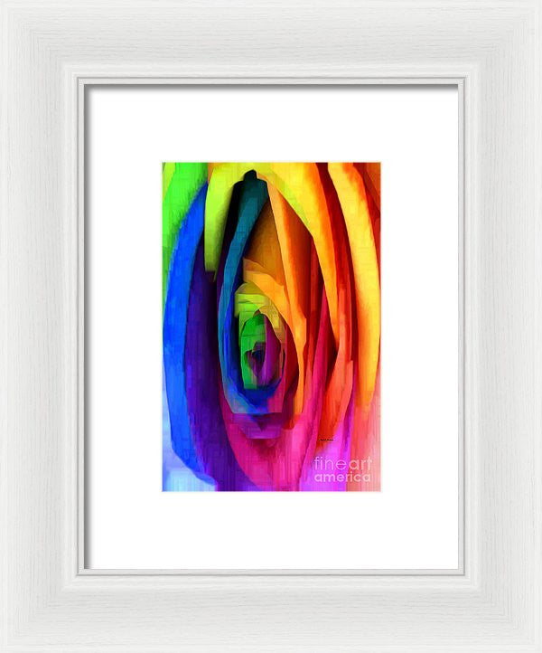 Framed Print - Rainbow Rose