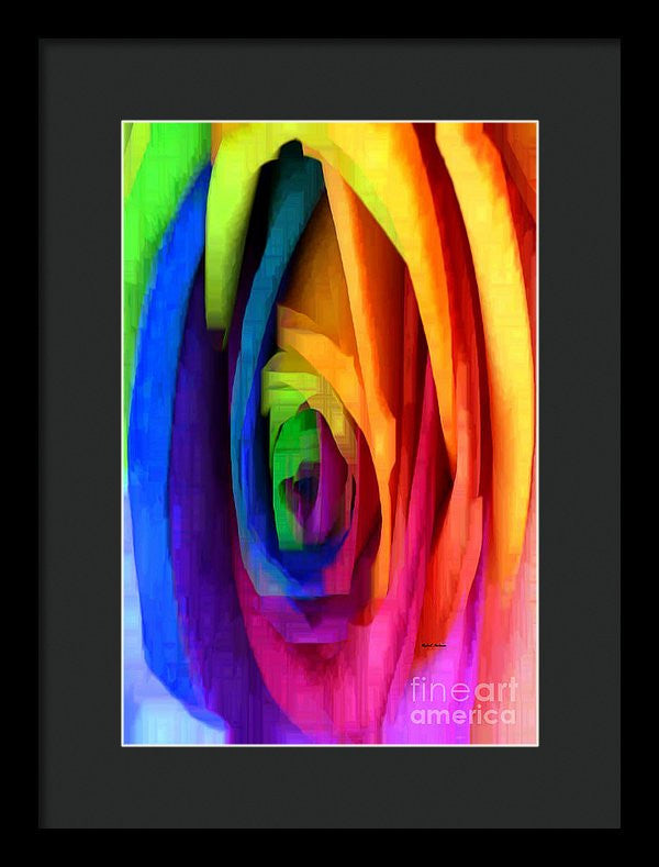 Framed Print - Rainbow Rose