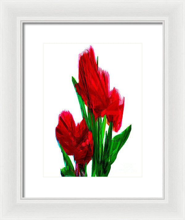 Framed Print - Red Carnations