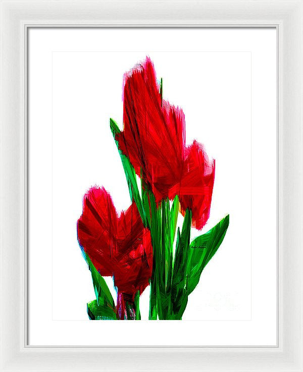 Framed Print - Red Carnations