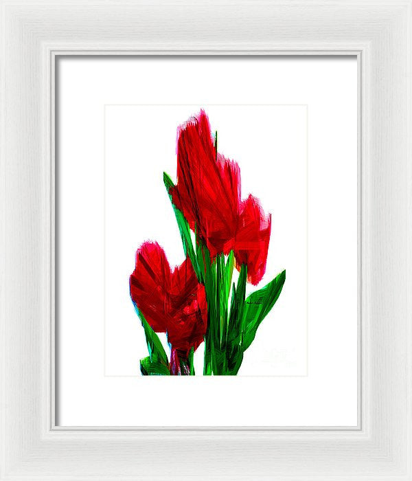 Framed Print - Red Carnations