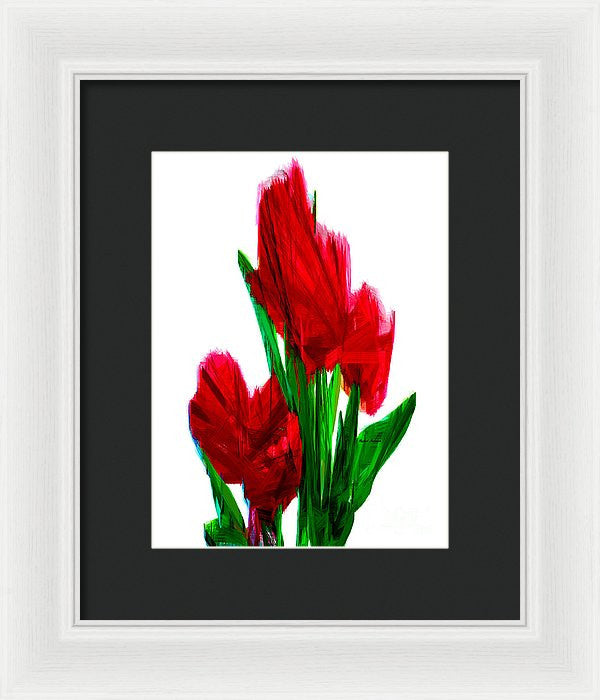 Framed Print - Red Carnations