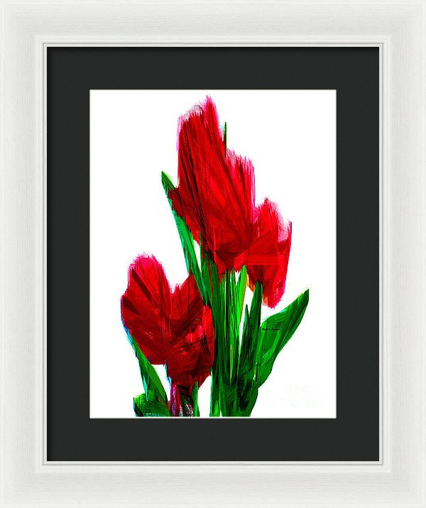 Framed Print - Red Carnations