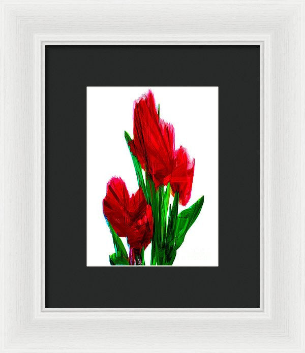 Framed Print - Red Carnations