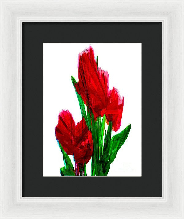 Framed Print - Red Carnations