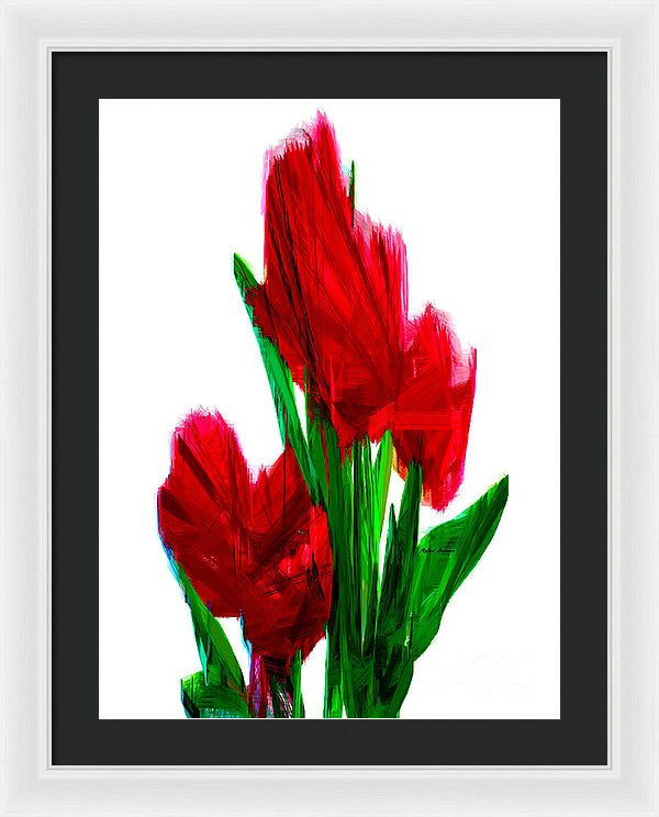 Framed Print - Red Carnations