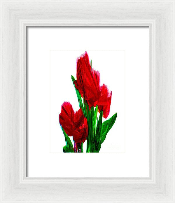 Framed Print - Red Carnations