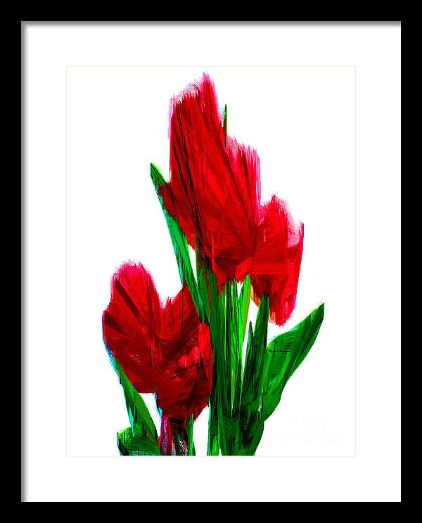 Framed Print - Red Carnations