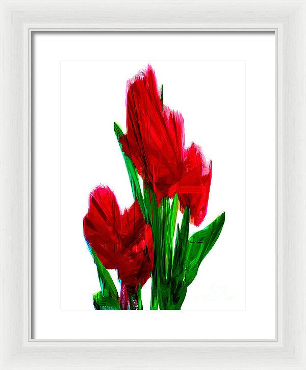 Framed Print - Red Carnations