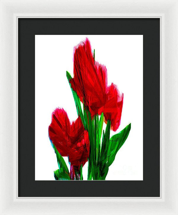 Framed Print - Red Carnations