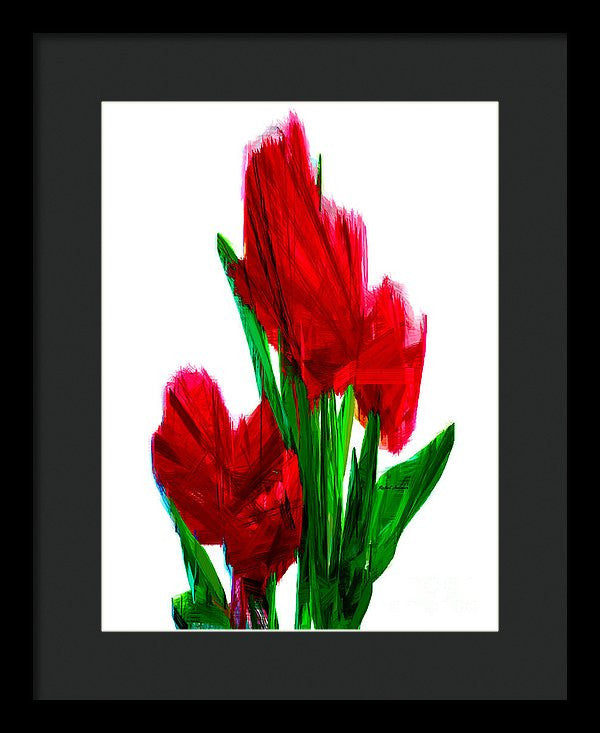 Framed Print - Red Carnations