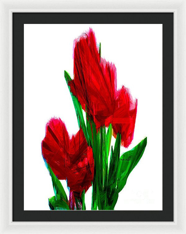 Framed Print - Red Carnations