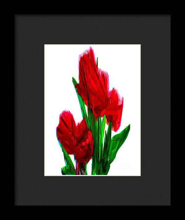 Framed Print - Red Carnations