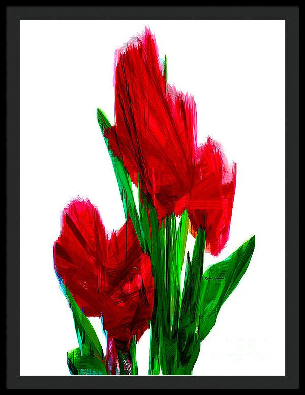 Framed Print - Red Carnations