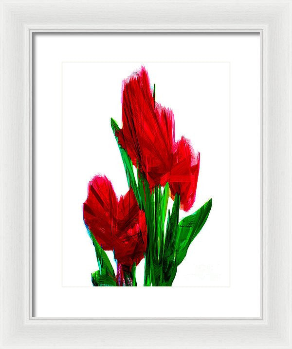 Framed Print - Red Carnations