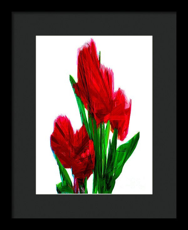 Framed Print - Red Carnations