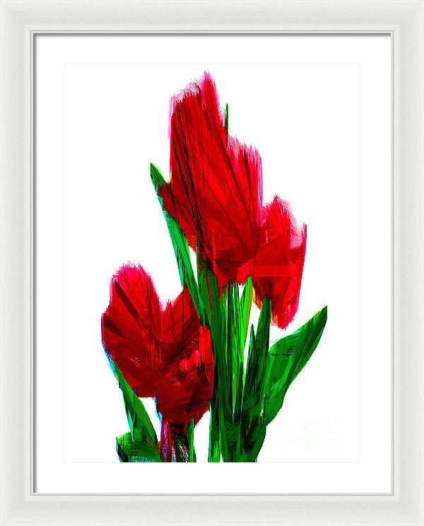 Framed Print - Red Carnations