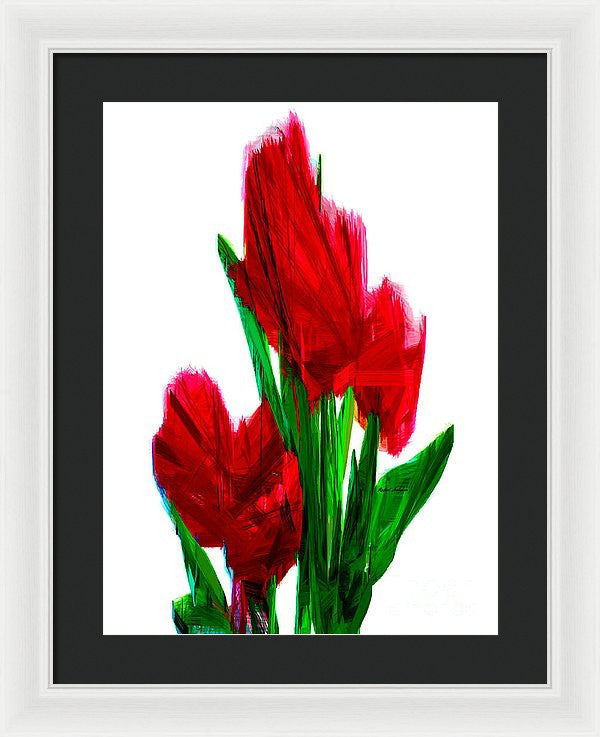 Framed Print - Red Carnations