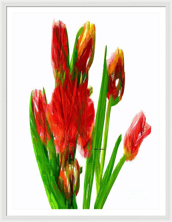 Framed Print - Red Tulips