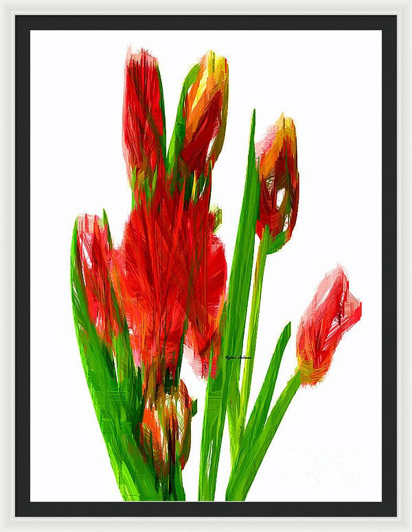 Framed Print - Red Tulips