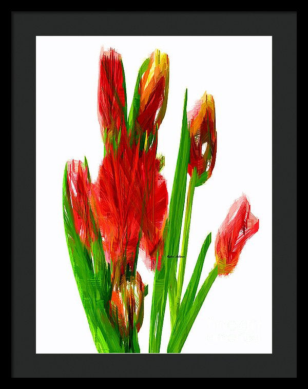 Framed Print - Red Tulips