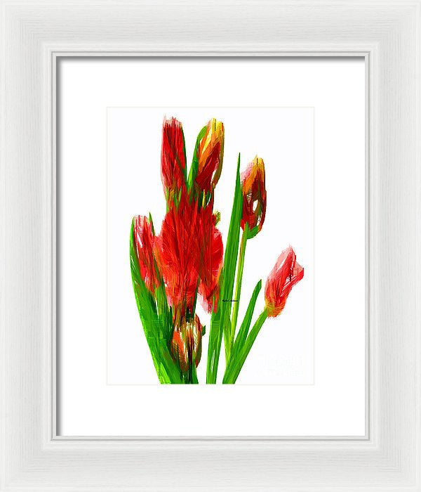 Framed Print - Red Tulips