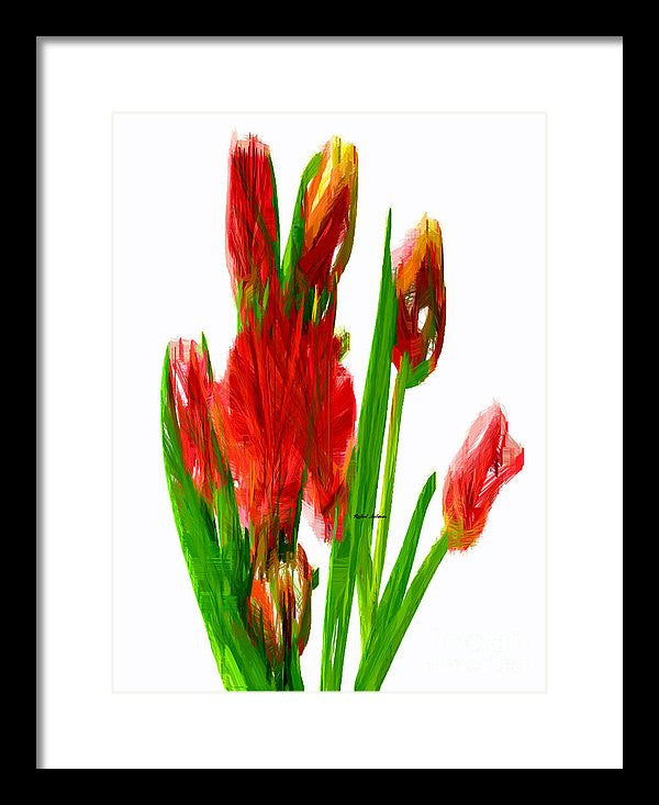 Framed Print - Red Tulips