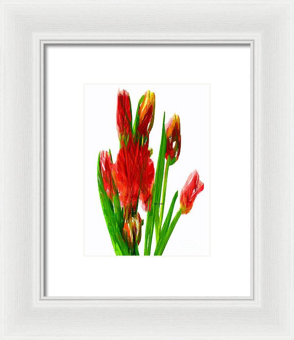 Framed Print - Red Tulips