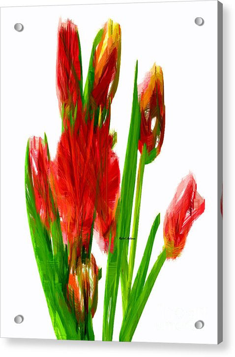 Acrylic Print - Red Tulips